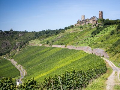 Apartment Ferienwohnung - Outdoor photo 48