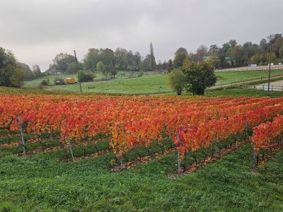 Holiday apartment Blonay Logis de Vacances - Outdoor photo 9