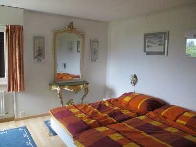 Holiday apartment Blonay Logis de Vacances - Features photo 14