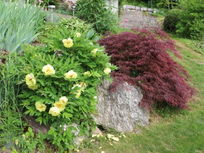 Holiday apartment Blonay Logis de Vacances - Environment photo 25