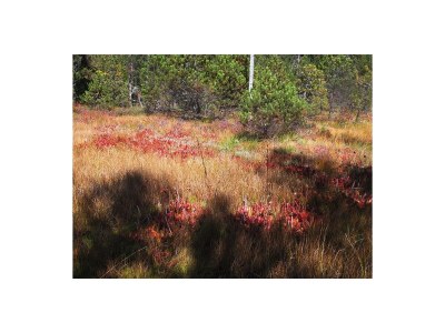 Holiday apartment Blonay Logis de Vacances - Environment photo 29