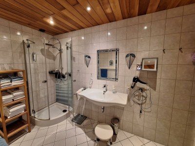 Apartment 2-Bettwohnung mit Terrasse - Features photo 17