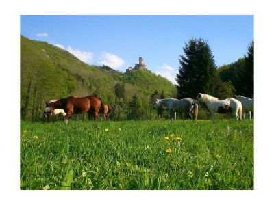 Apartment Ferienhaus mit 2 Schlafzimmern - Outdoor photo 9