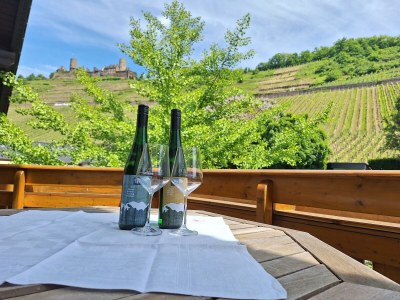 Apartment Ferienwohnung mit Balkon in Alken - Apartment