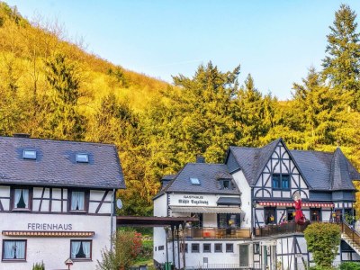 Holiday room Doppelzimmer Kohlmeise in Brodenbach - Holiday room