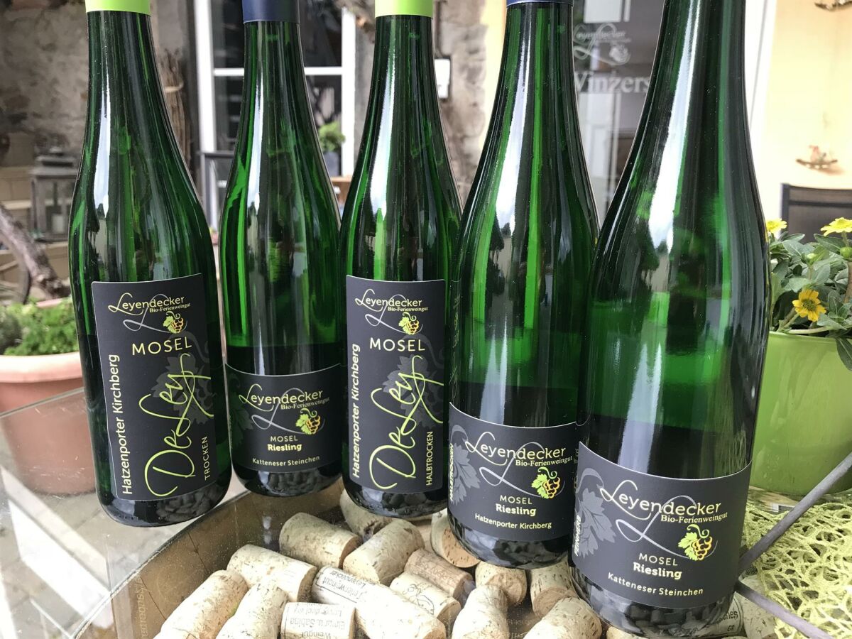 Apartment Ferienwohnung Panoramablick - Outdoor photo 5