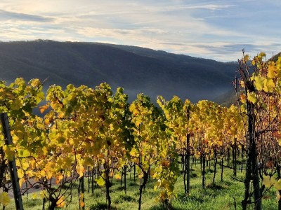 Apartment Ferienwohnung mit 2 Doppelzimmern - Outdoor photo 29