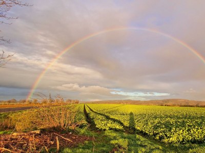 Apartment Ferienwohnung mit 2 Doppelzimmern - Outdoor photo 32