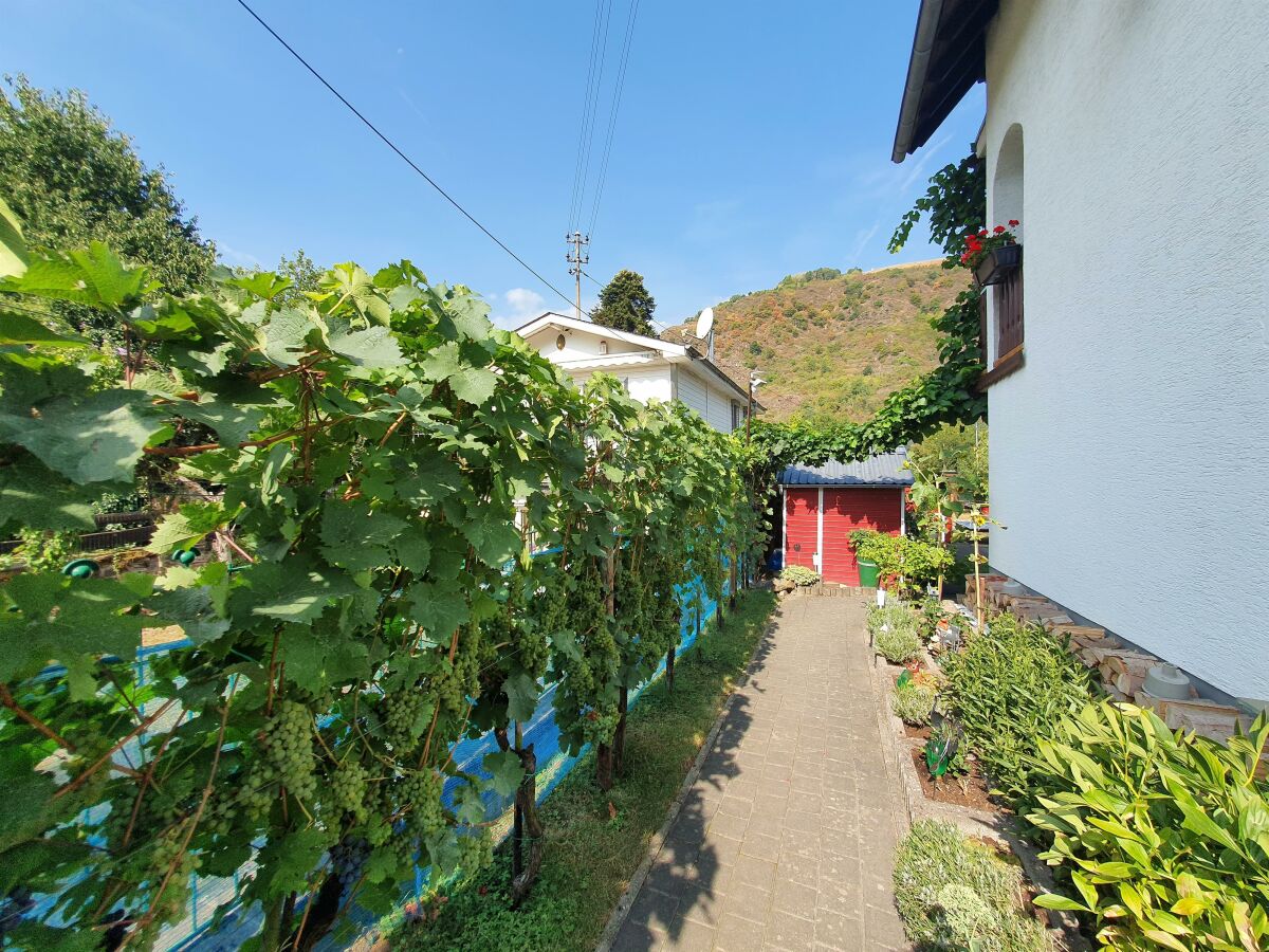 Apartment 2-Bettwohnung mit Terrasse - Outdoor photo 5