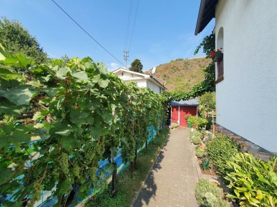 Apartment 2-Bettwohnung mit Terrasse - Outdoor photo 5