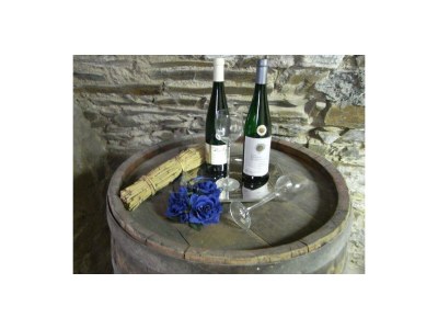 Apartment Ferienhaus mit Flussblick - Outdoor photo 11