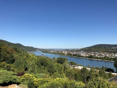 Apartment Ferienwohnung Rheinpanorama - Outdoor photo 5