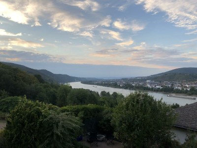 Apartment Ferienwohnung Rheinpanorama - Outdoor photo 11