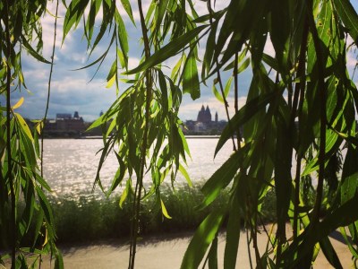 Holiday house No title - Environment photo 38