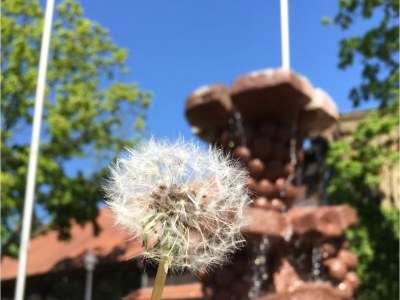 Holiday house No title - Environment photo 40