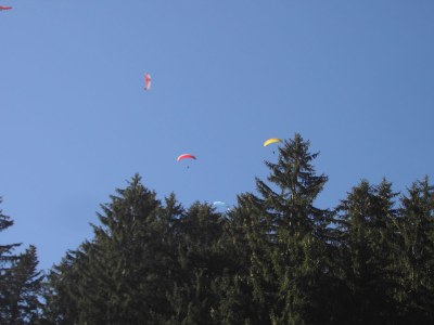 Holiday apartment Hermann Schösser - Environment photo 15