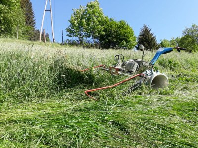 Holiday apartment Hermann Schösser - Environment photo 17