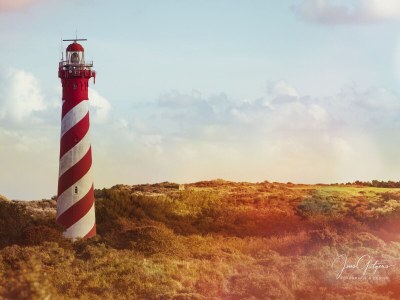 Holiday house de Zuidhoek 1 "De Garnaal" - Environment photo 38