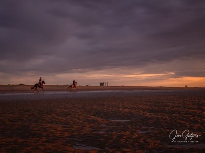 Holiday house de Zuidhoek 1 "De Garnaal" - Environment photo 39