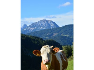 Holiday room Doppelzimmer Erdgeschoss mit Dusche, WC - Outdoor photo 18