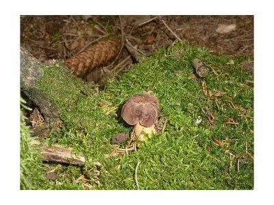 Apartment Helles und gemütliches Feriendomizil - Outdoor photo 14