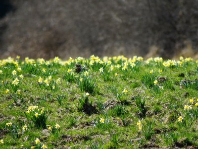 Apartment Helles und gemütliches Feriendomizil - Outdoor photo 22
