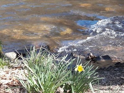 Apartment Helles und gemütliches Feriendomizil - Outdoor photo 23