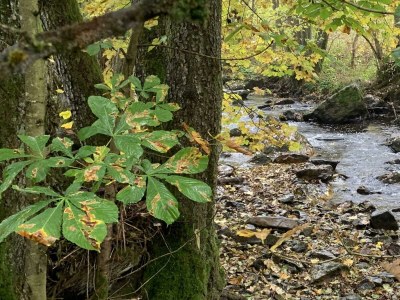 Apartment Ferienhaus, Dusche und Bad, WC, 3 Schlafräume - Outdoor photo 14
