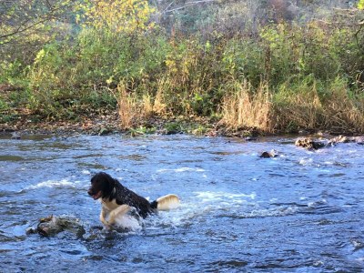 Apartment Ferienhaus, Dusche und Bad, WC, 3 Schlafräume - Outdoor photo 15