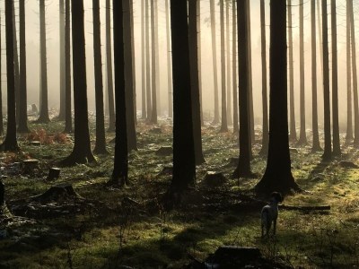 Apartment Ferienhaus, Dusche und Bad, WC, 3 Schlafräume - Outdoor photo 16