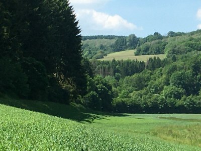 Apartment Ferienhaus, Dusche und Bad, WC, 3 Schlafräume - Outdoor photo 17