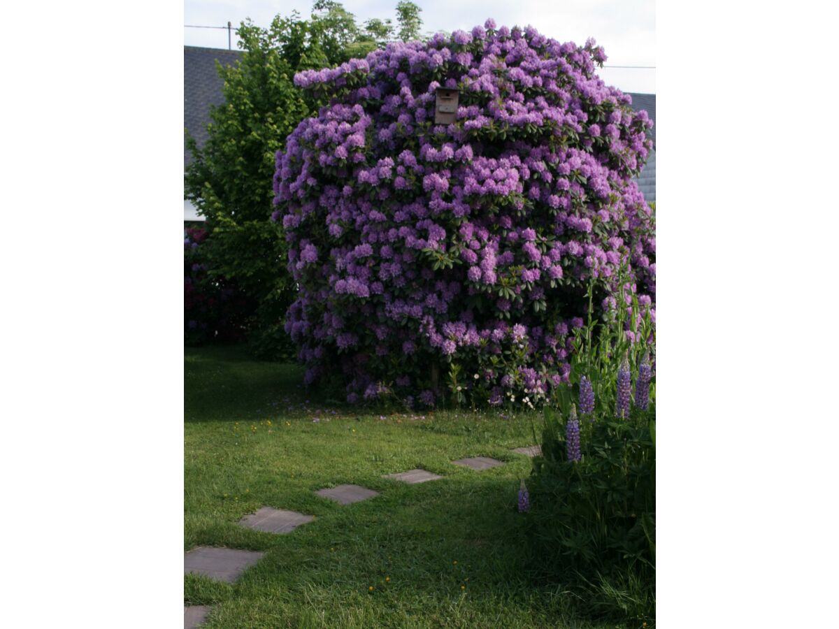 Apartment Ferienhaus, Dusche und Badewanne, Nichtraucher - Outdoor photo 5