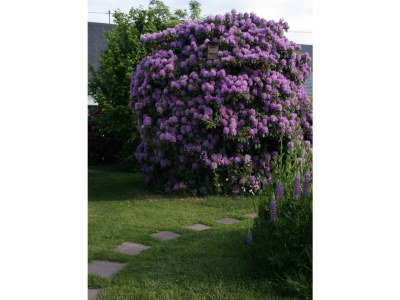 Apartment Ferienhaus, Dusche und Badewanne, Nichtraucher - Outdoor photo 5