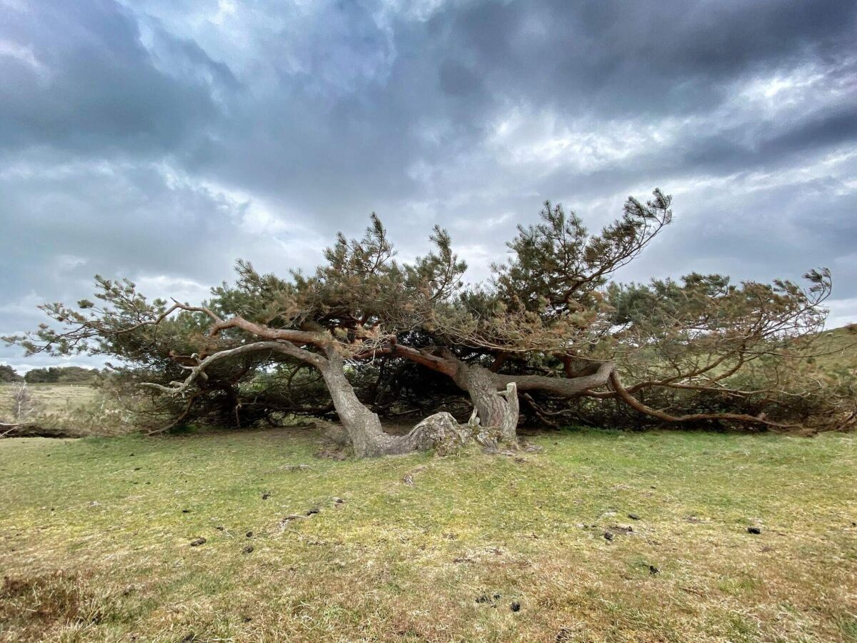 Holiday house Gemutliches Strandhaus in Rageleje -- By Traum Ferienwohnungen - Outdoor photo 5