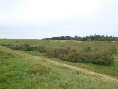 Holiday house Gemutliches Strandhaus in Rageleje -- By Traum Ferienwohnungen - Outdoor photo 36