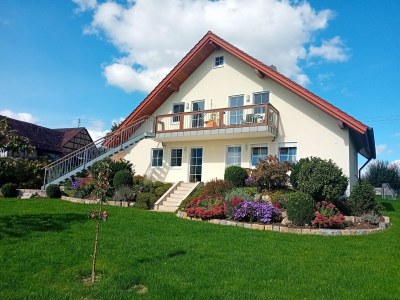 Holiday apartment at the holiday farm Handlesbauer - Outdoor photo 2