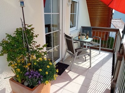 Holiday apartment at the holiday farm Handlesbauer - Outdoor photo 5