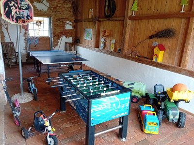 Holiday apartment at the holiday farm Handlesbauer - Outdoor photo 10