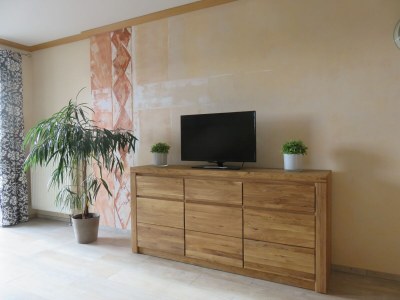 Holiday apartment at the holiday farm Handlesbauer - Features photo 16