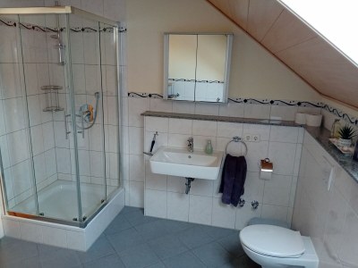 Holiday apartment at the holiday farm Handlesbauer - Features photo 26