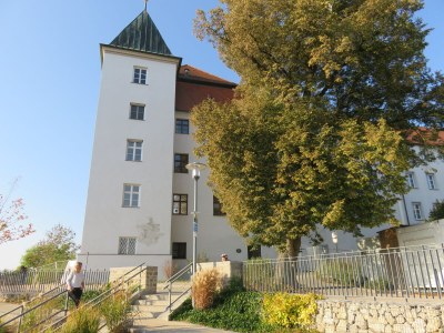 Holiday apartment at the holiday farm Handlesbauer - Environment photo 31
