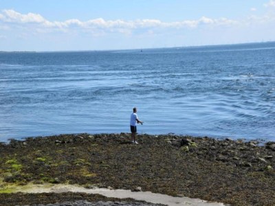 Holiday house Relaxing Nature Retreat w/ Beach - Environment photo 36