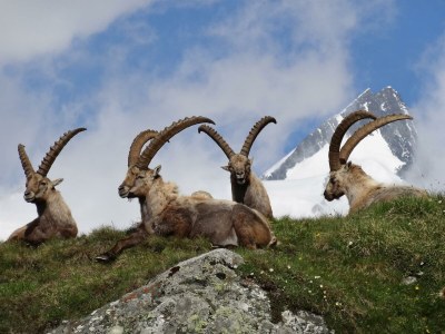 Holiday room Studio Kleinglockner - Outdoor photo 26