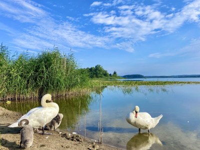 Holiday house Lake Sternberg 1 - Environment photo 32