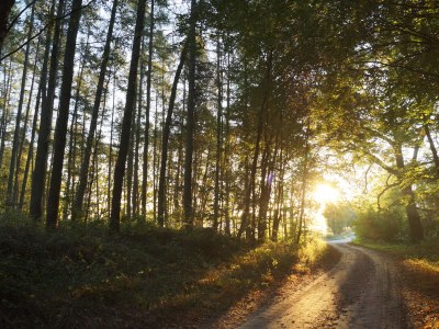 Holiday house Lake Sternberg 1 - Environment photo 39