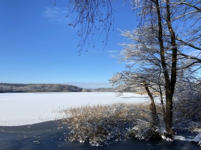 Holiday house Lake Sternberg 1 - Environment photo 40
