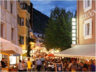 Holiday apartment Schwarzer Adler - Environment photo 16