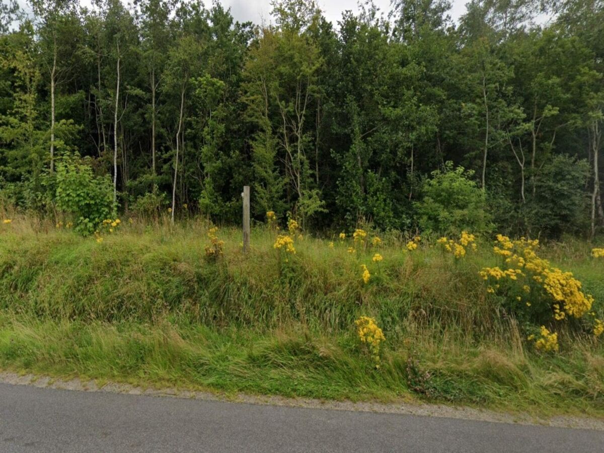 Holiday house 4 person holiday home in Ansager-By Traum - Outdoor photo 5