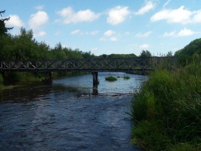 Holiday house 4 person holiday home in Ansager-By Traum - Outdoor photo 4