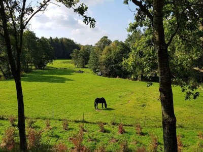 Holiday house 4 person holiday home in Ansager-By Traum - Outdoor photo 11